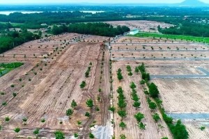 Siết chặt đấu giá đất: Bộ TNMT đưa ra nhiều điều kiện ràng buộc