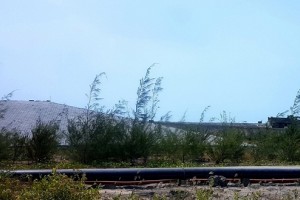 Lãng phí đất đai - Lời cảnh báo thường trực