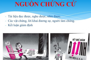 Nguồn chứng cứ và chứng minh tội phạm như thế nào?