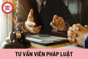 Giải pháp thu hút đội ngũ tư vấn viên pháp luật hỗ trợ pháp lý cho doanh nghiệp nhỏ và vừa